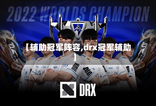 【辅助冠军阵容,drx冠军辅助】-第2张图片