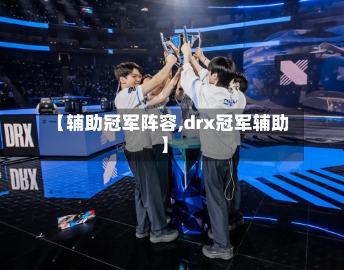 【辅助冠军阵容,drx冠军辅助】