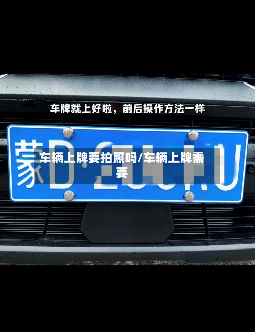 车辆上牌要拍照吗/车辆上牌需要