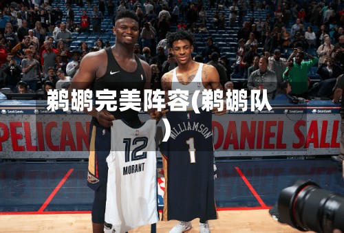 鹈鹕完美阵容(鹈鹕队)-第2张图片