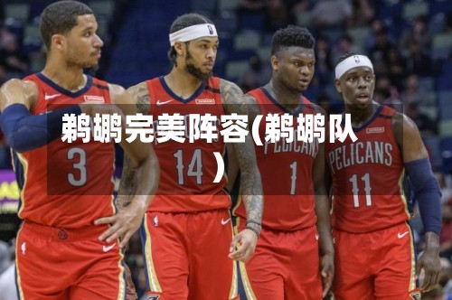 鹈鹕完美阵容(鹈鹕队)