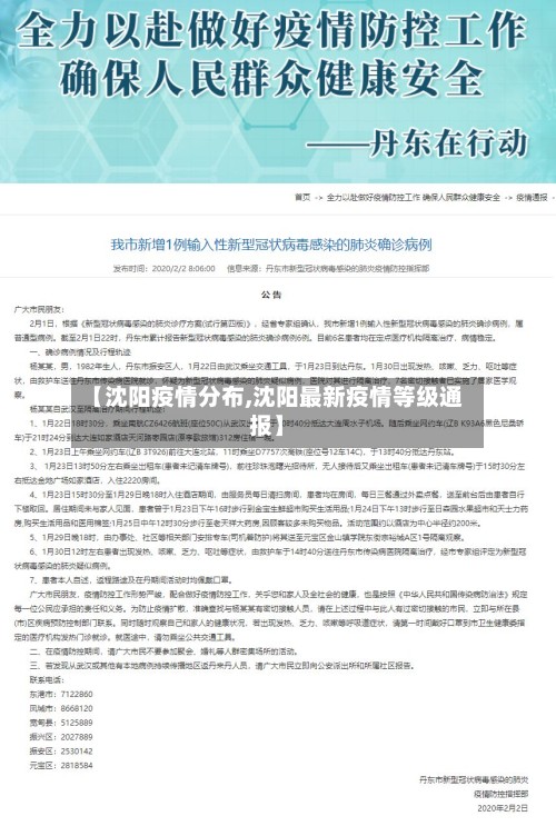 【沈阳疫情分布,沈阳最新疫情等级通报】-第2张图片
