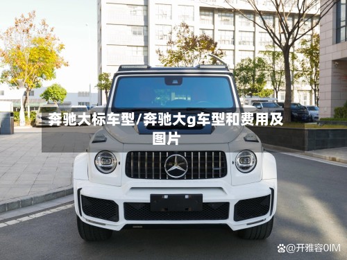 奔驰大标车型/奔驰大g车型和费用及图片-第2张图片