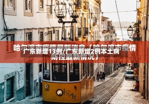 广东新增13例/广东新增2例本土病