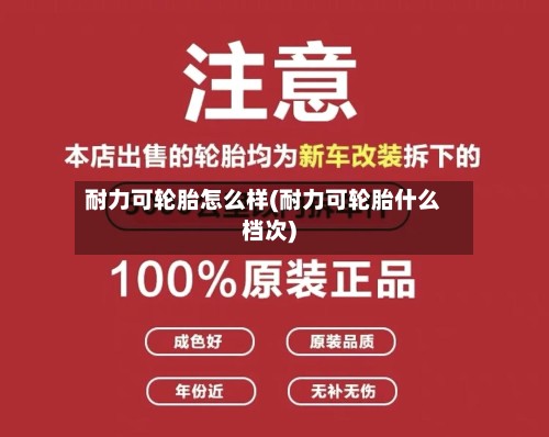 耐力可轮胎怎么样(耐力可轮胎什么档次)-第3张图片