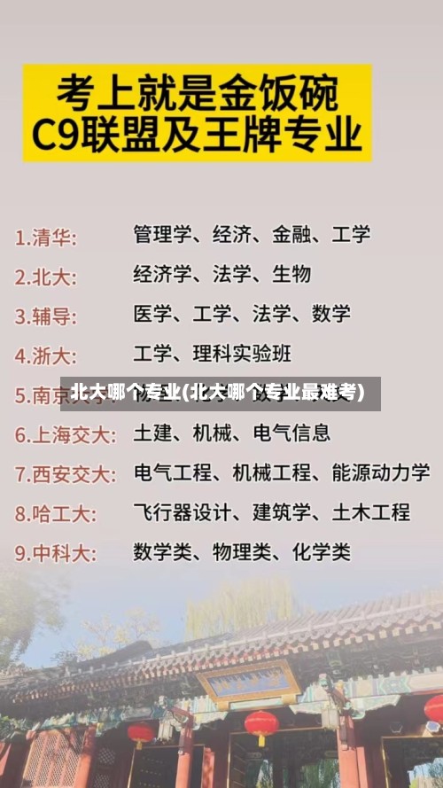 北大哪个专业(北大哪个专业最难考)-第2张图片