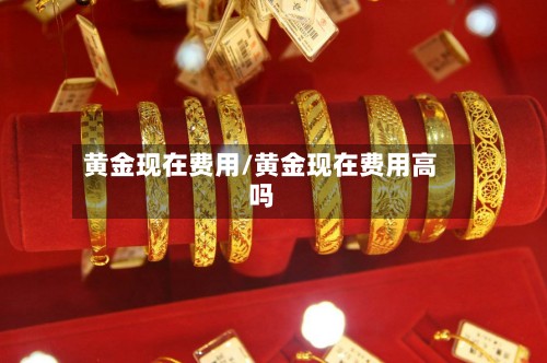 黄金现在费用/黄金现在费用高吗-第2张图片