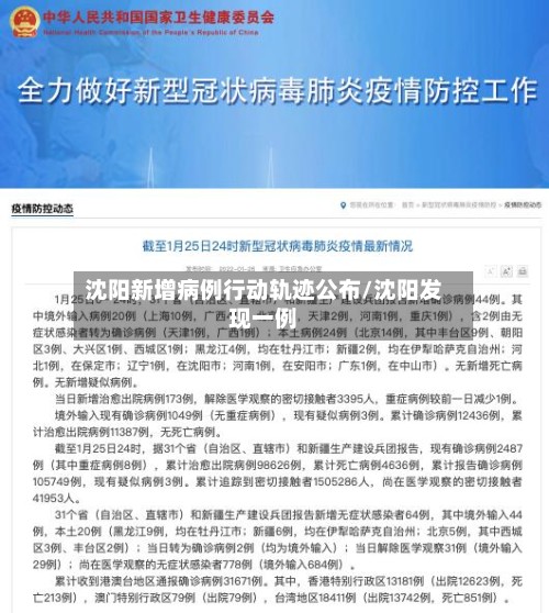 沈阳新增病例行动轨迹公布/沈阳发现一例-第3张图片
