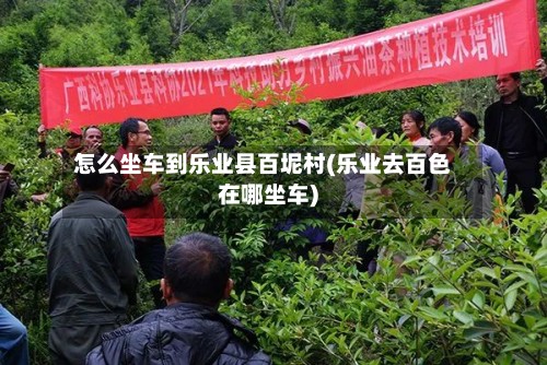 怎么坐车到乐业县百坭村(乐业去百色在哪坐车)-第2张图片