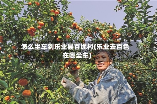 怎么坐车到乐业县百坭村(乐业去百色在哪坐车)-第3张图片