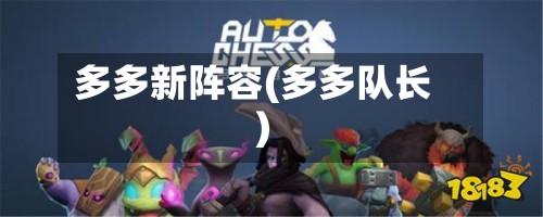 多多新阵容(多多队长)
