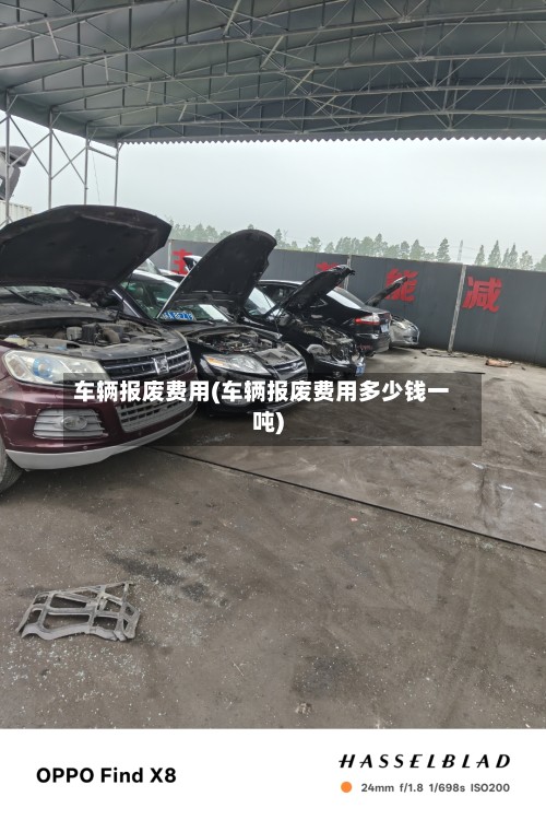 车辆报废费用(车辆报废费用多少钱一吨)-第3张图片