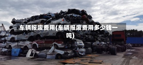 车辆报废费用(车辆报废费用多少钱一吨)-第2张图片