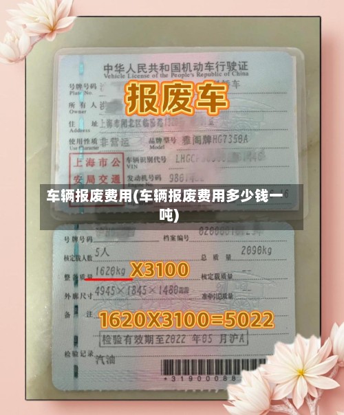 车辆报废费用(车辆报废费用多少钱一吨)