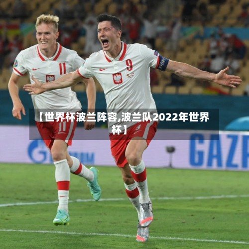 【世界杯波兰阵容,波兰队2022年世界杯】