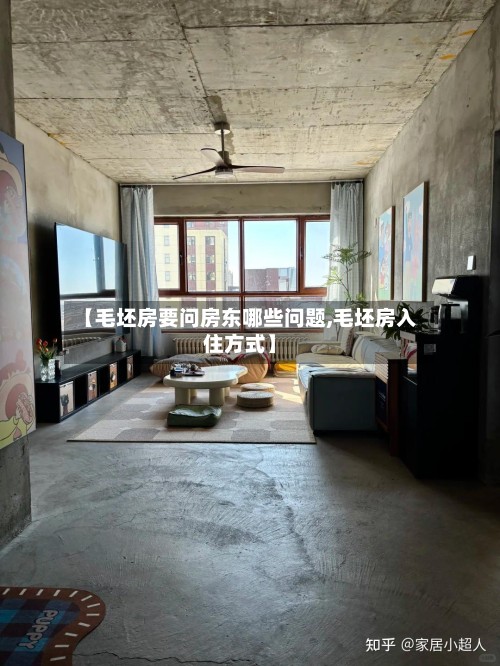 【毛坯房要问房东哪些问题,毛坯房入住方式】-第2张图片