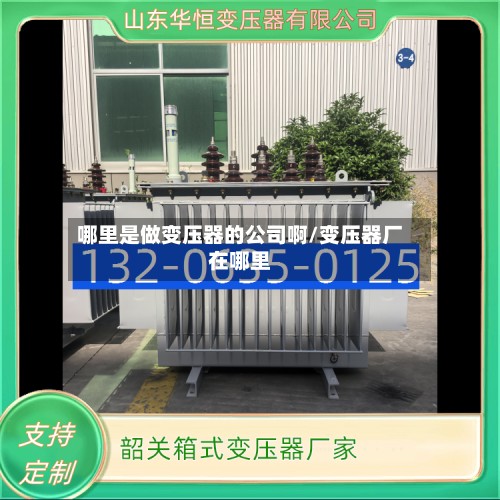 哪里是做变压器的公司啊/变压器厂在哪里-第2张图片