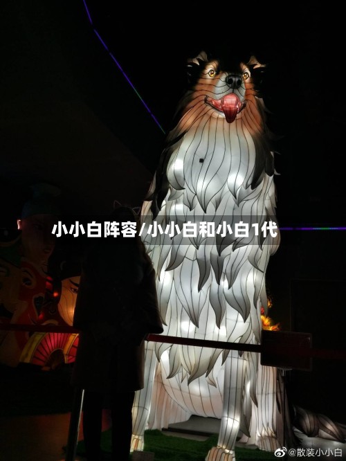 小小白阵容/小小白和小白1代-第3张图片