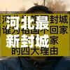 河北最新封城消息(河北最新疫情)-第2张图片