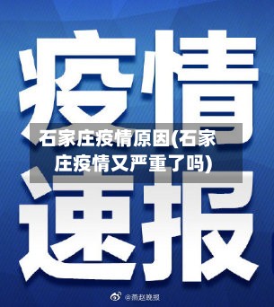 石家庄疫情原因(石家庄疫情又严重了吗)