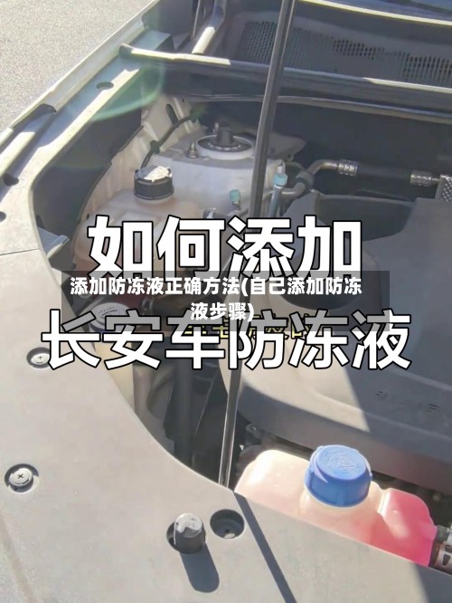 添加防冻液正确方法(自己添加防冻液步骤)