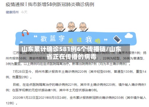 山东累计确诊581例6个传播链/山东省正在传播的病毒