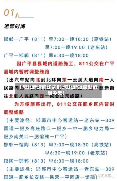 【河北新增确诊病例,河北新冠最新消息今天】-第3张图片