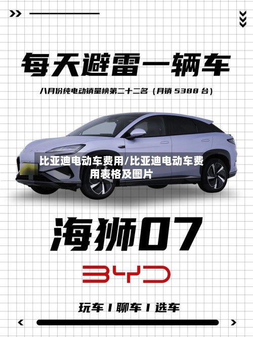 比亚迪电动车费用/比亚迪电动车费用表格及图片