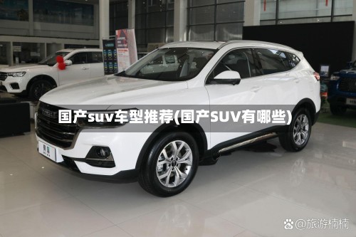 国产suv车型推荐(国产SUV有哪些)