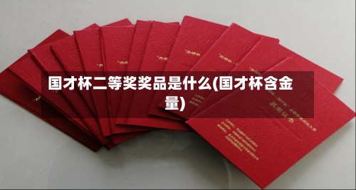 国才杯二等奖奖品是什么(国才杯含金量)-第2张图片
