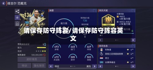 请保存防守阵容/请保存防守阵容英文-第2张图片