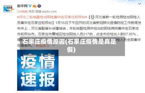 石家庄疫情原因(石家庄疫情是真是假)