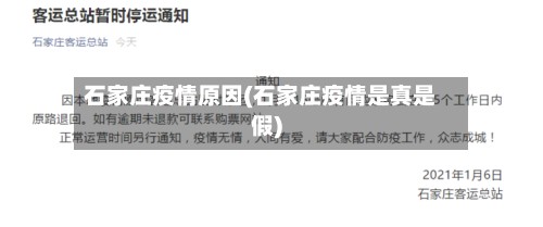 石家庄疫情原因(石家庄疫情是真是假)-第2张图片