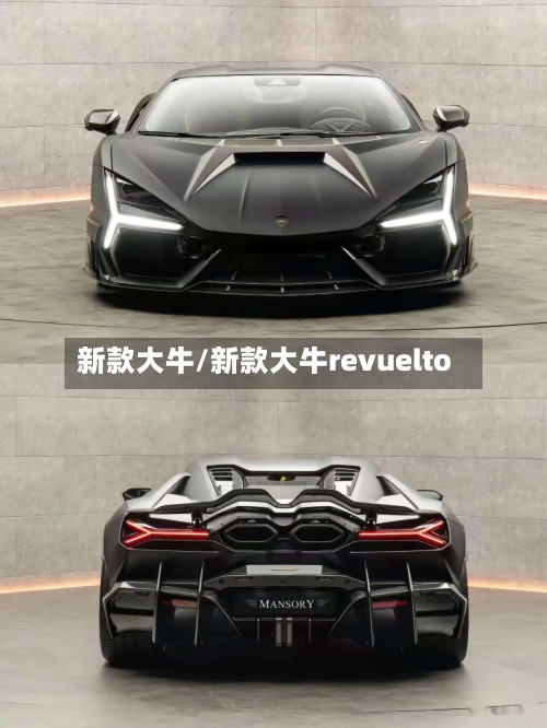 新款大牛/新款大牛revuelto