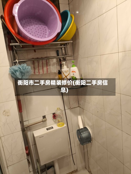 衡阳市二手房精装修价(衡阳二手房信息)-第3张图片