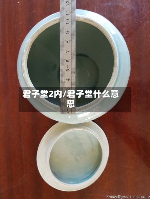 君子堂2内/君子堂什么意思