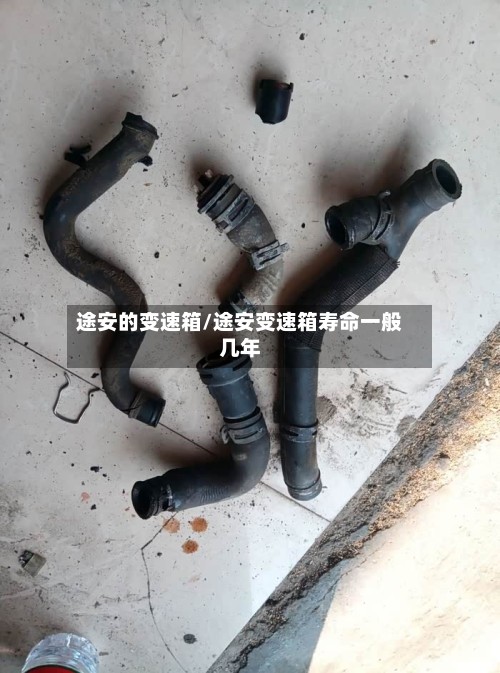 途安的变速箱/途安变速箱寿命一般几年