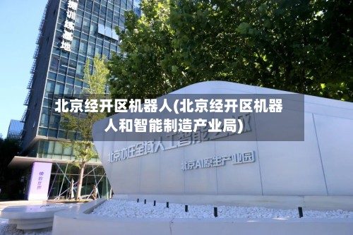 北京经开区机器人(北京经开区机器人和智能制造产业局)