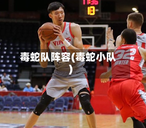 毒蛇队阵容(毒蛇小队)