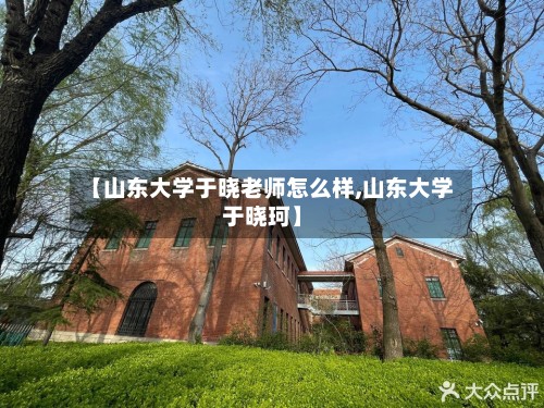 【山东大学于晓老师怎么样,山东大学于晓珂】