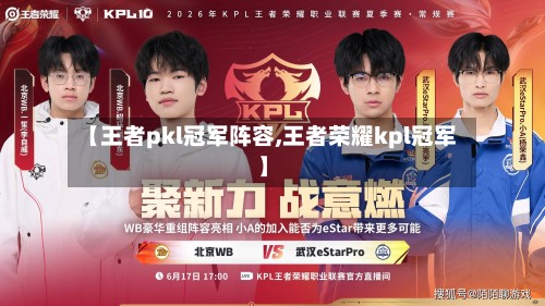 【王者pkl冠军阵容,王者荣耀kpl冠军】