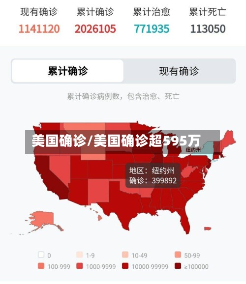 美国确诊/美国确诊超595万