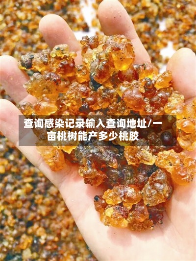 查询感染记录输入查询地址/一亩桃树能产多少桃胶