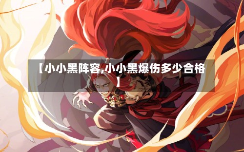 【小小黑阵容,小小黑爆伤多少合格】