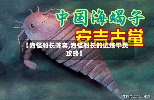 【海怪船长阵容,海怪船长的试炼平民攻略】-第2张图片
