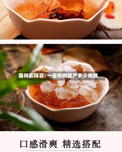 森林影阵容/一亩桃树能产多少桃胶-第2张图片