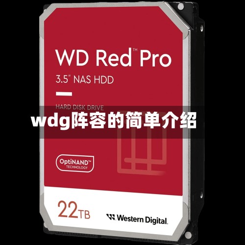 wdg阵容的简单介绍
