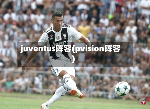 juventus阵容(pvision阵容)-第3张图片