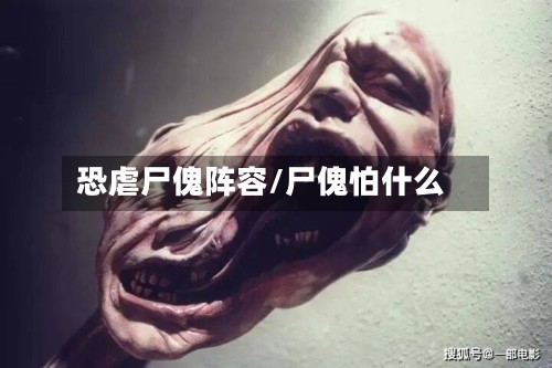 恐虐尸傀阵容/尸傀怕什么