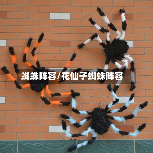 蜘蛛阵容/花仙子蜘蛛阵容